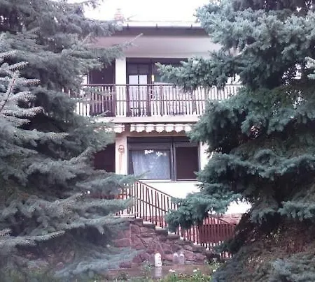 Fenyő Windsurf Révfülöp